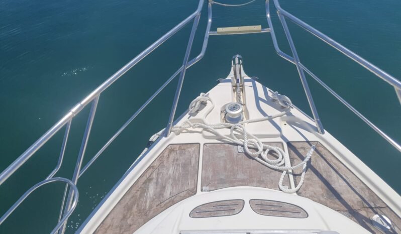 Cranchi Endurance 41 lleno