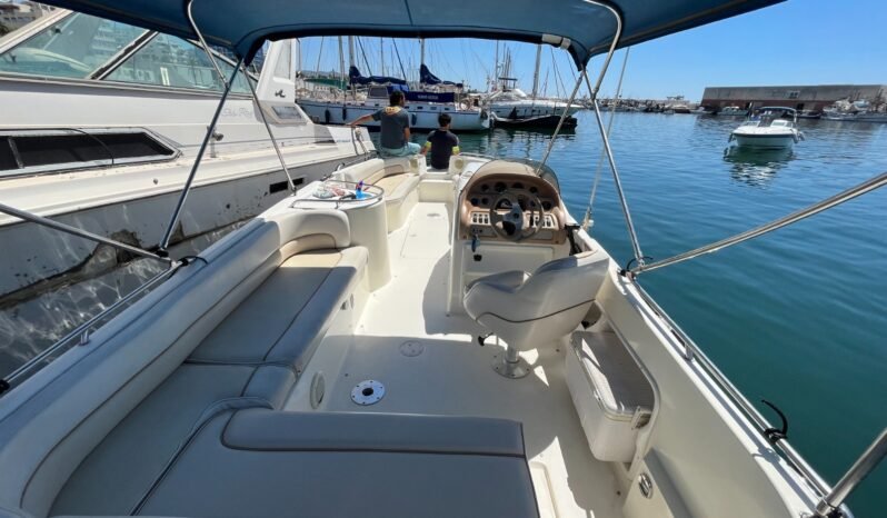 Searay 240 Sundeck lleno