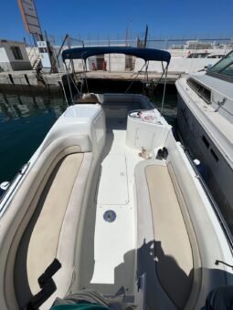 Searay 240 Sundeck lleno