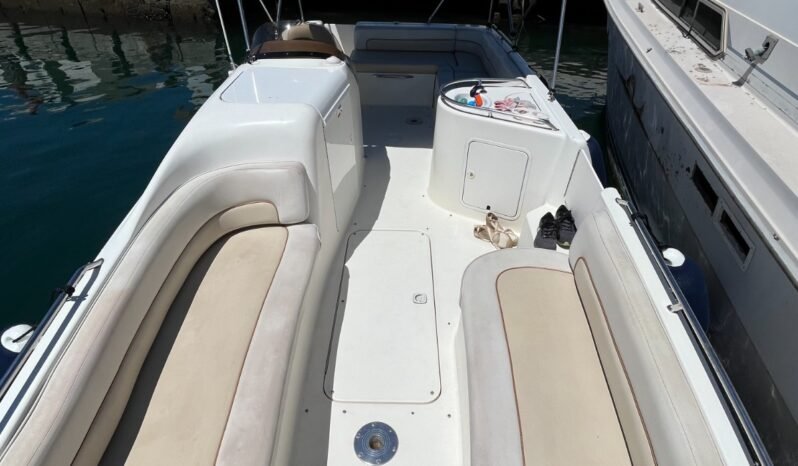 Searay 240 Sundeck lleno