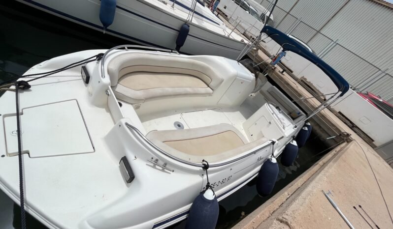 Searay 240 Sundeck lleno