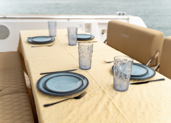Fjord 41 XL