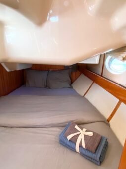 Elan Impression 384 lleno