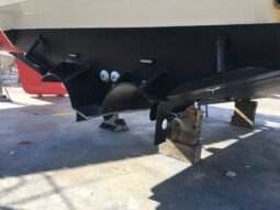 Searay 350 Express Cruiser lleno
