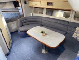 Searay 350 Express Cruiser lleno