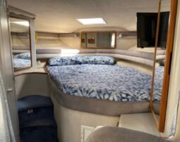 Searay 350 Express Cruiser lleno