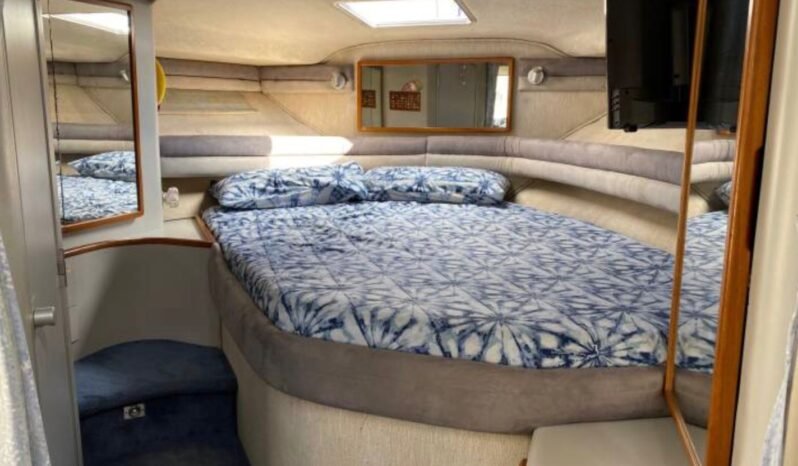 Searay 350 Express Cruiser lleno