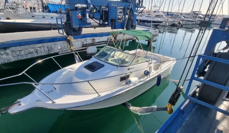 Bayliner Trophy 2052 lleno