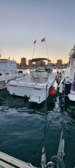 Bayliner Trophy 2052 lleno