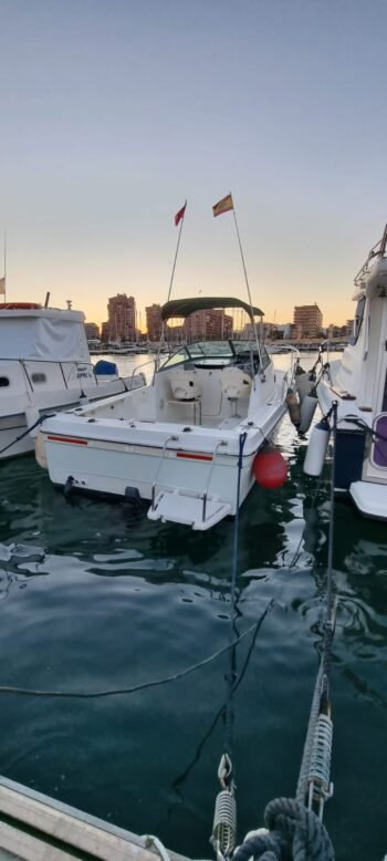 Bayliner Trophy 2052