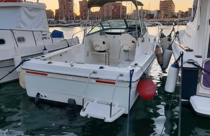 Bayliner Trophy 2052 lleno