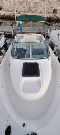 Bayliner Trophy 2052 lleno
