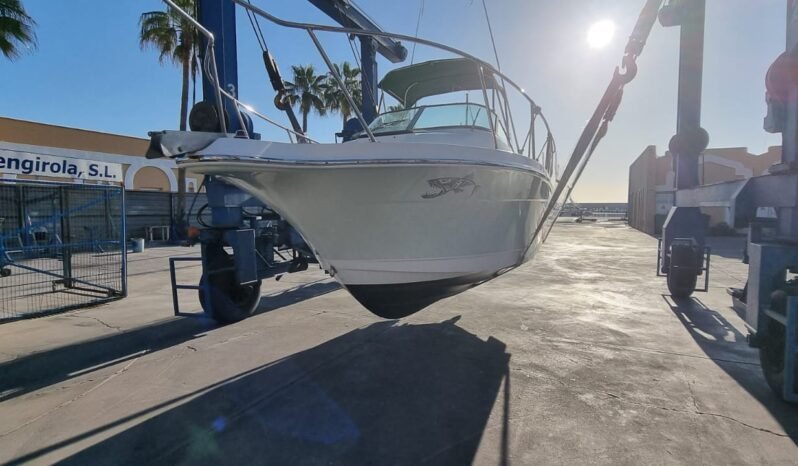 Bayliner Trophy 2052 lleno