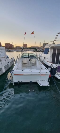 Bayliner Trophy 2052 lleno