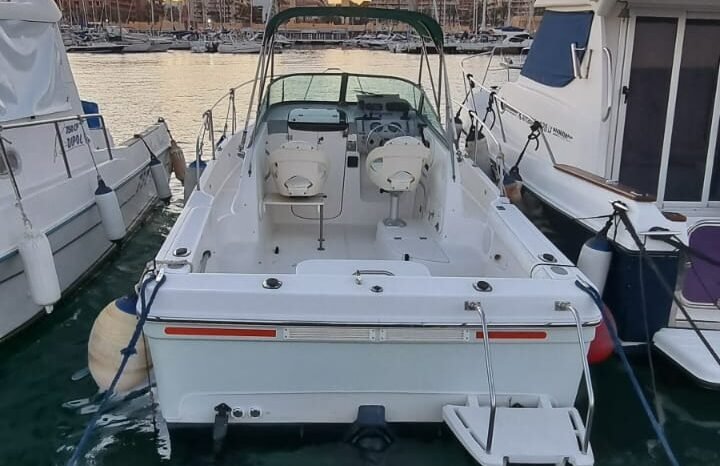 Bayliner Trophy 2052 lleno