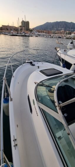 Bayliner Trophy 2052 lleno