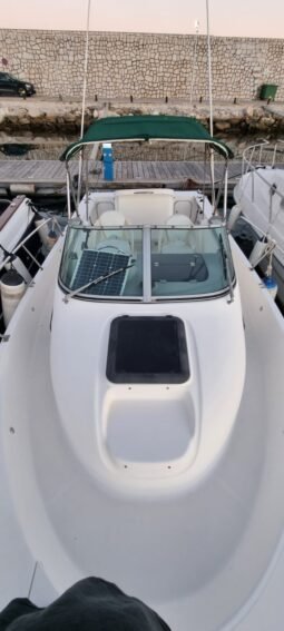 Bayliner Trophy 2052 lleno