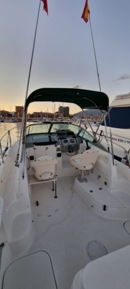 Bayliner Trophy 2052 lleno