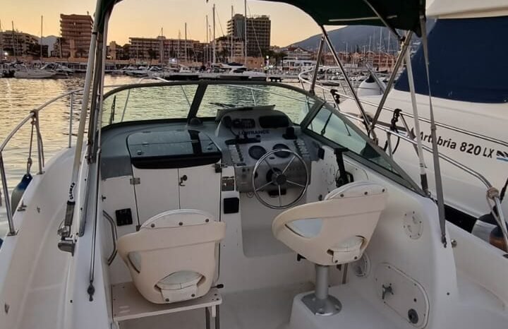 Bayliner Trophy 2052 lleno