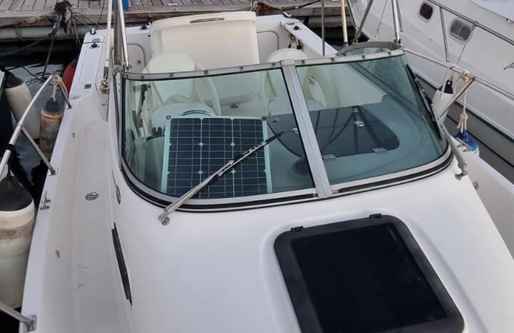 Bayliner Trophy 2052 lleno