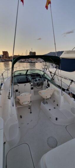 Bayliner Trophy 2052 lleno