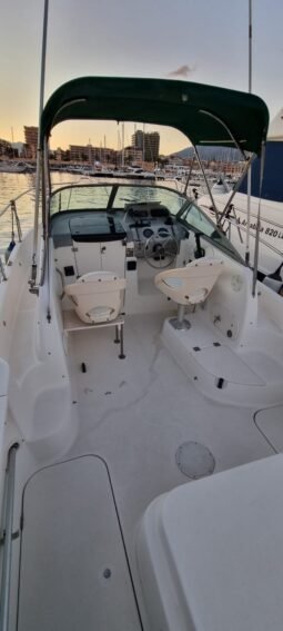 Bayliner Trophy 2052 lleno