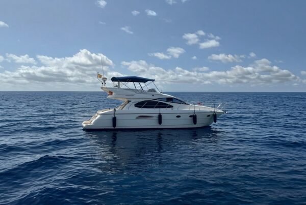 Astondoa AS46 / 464 GLX Flybridge 2010 navegando en el mar